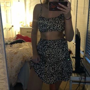 Cheetah set